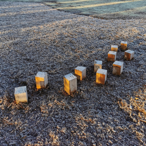 Sibirisk Stepstone Balansstubbar